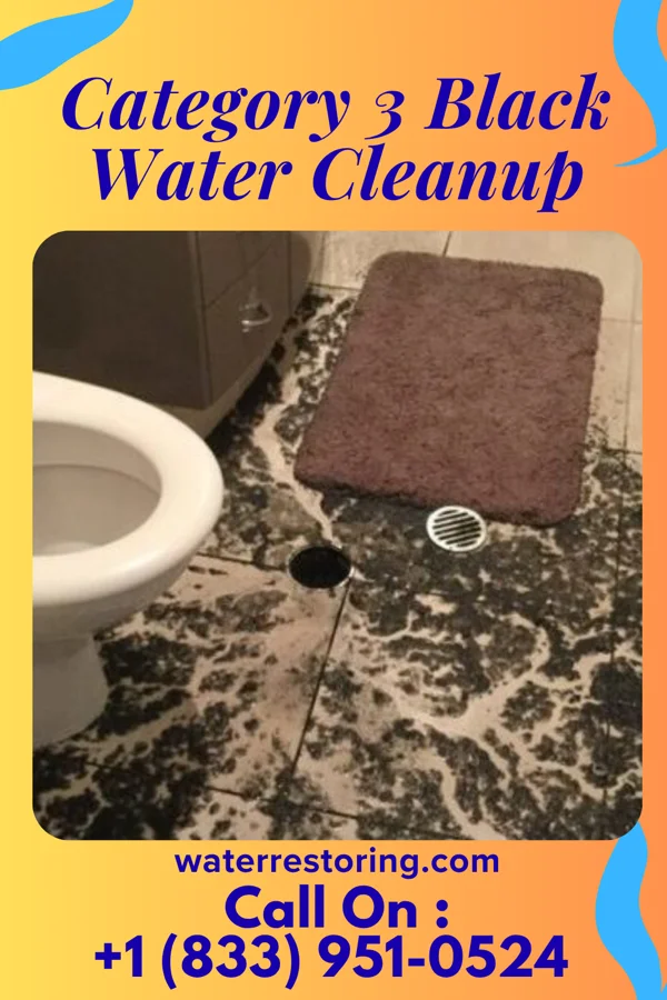 Category 3 Black Water Cleanup in Campton, KY