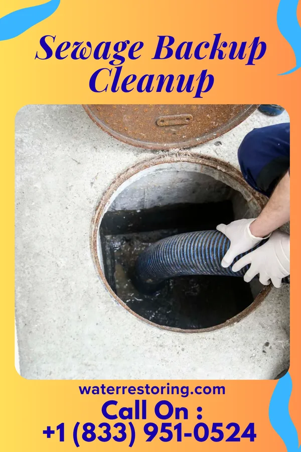 Sewage Backup Cleanup in Campton, KY