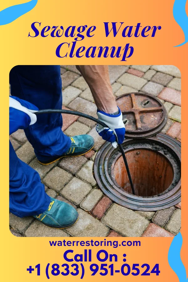 Sewage Water Cleanup in Campton, KY