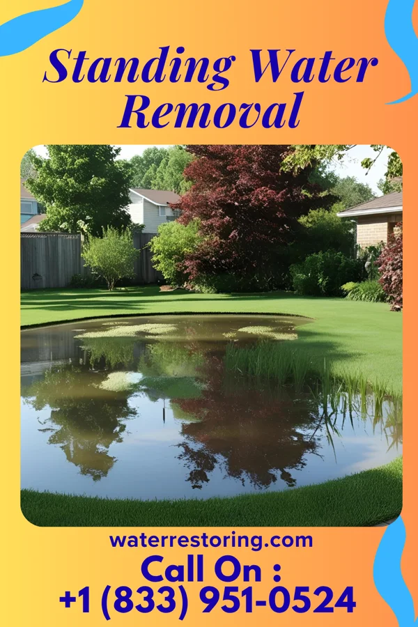 Standing Water Removal in Campton, KY